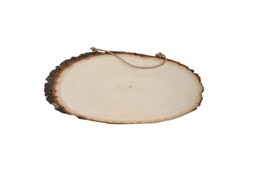 صورة -جذع شجر بيضاوي 18×16